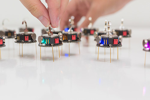 Tiny kilobots could be 'taught' to flock or swarm like animals.